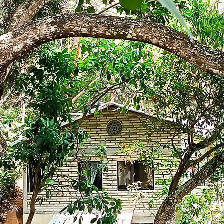 Eden Los Abuelos 2 - Casa Privada En Minca Nature Εξωτερικό φωτογραφία