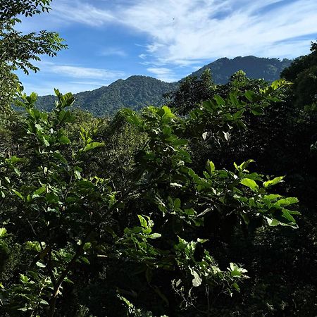 Eden Los Abuelos 2 - Casa Privada En Minca Nature Εξωτερικό φωτογραφία