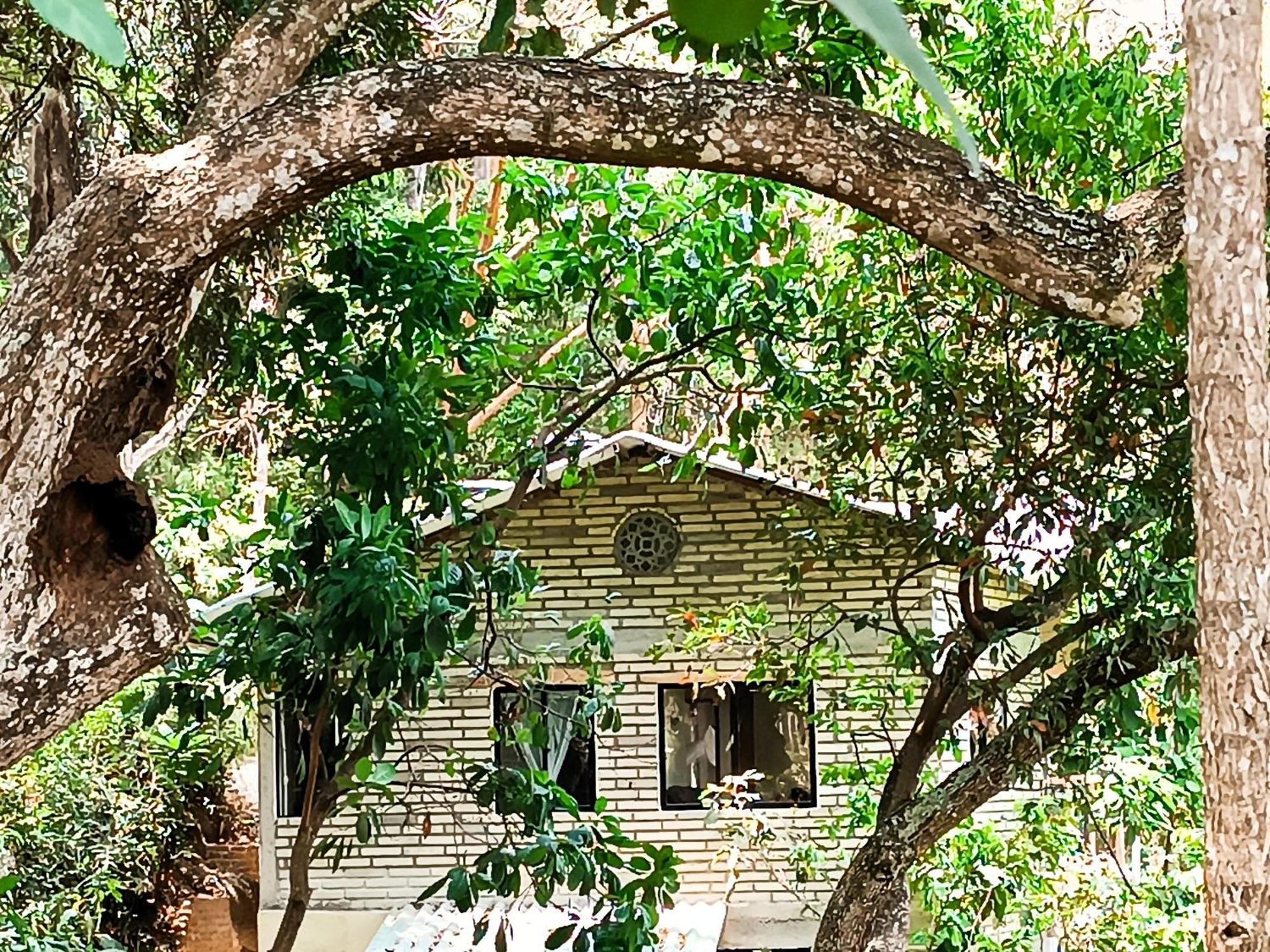 Eden Los Abuelos 2 - Casa Privada En Minca Nature Εξωτερικό φωτογραφία